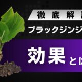 ブラックジンジャーの効果とは？ダイエットや精力向上など幅広い効果に期待できる