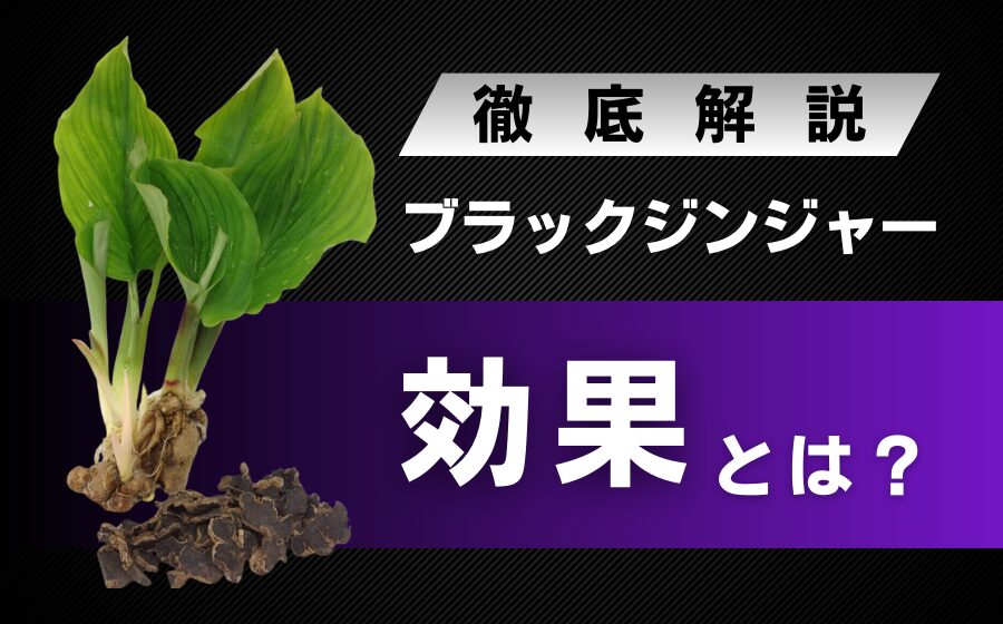 ブラックジンジャーの効果とは？ダイエットや精力向上など幅広い効果に期待できる