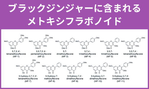 ブラックジンジャーに含まれるメトキシフラボノイド