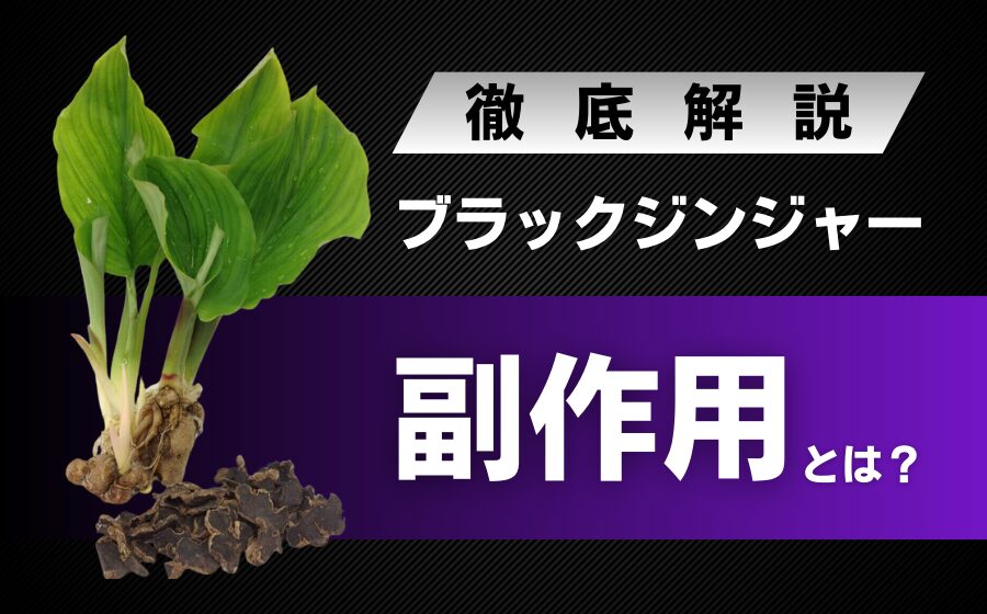 ブラックジンジャーの副作用とは？安心・安全に摂取する方法を徹底解説