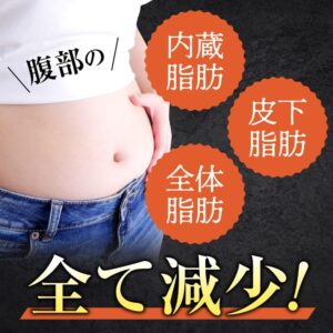 あお季の杜ブラックジンジャー×乳酸菌 腹部の脂肪を減らす