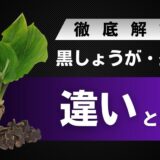 黒しょうがと生姜の違いとは？見た目・成分・味・香りなどの違いを解説