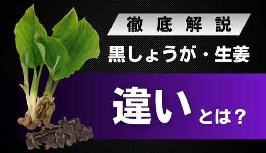 「黒しょうが」と「生姜」の違いを比較！見た目・成分・味・香りなど