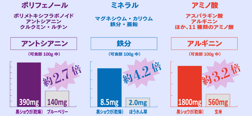 黒生姜100%　成分含有量