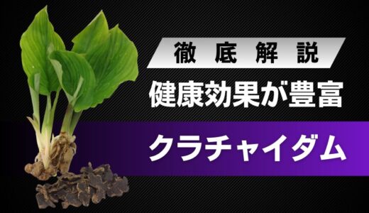 クラチャイダムとは？幅疲労健康効果が期待できる東南アジア系のハーブ