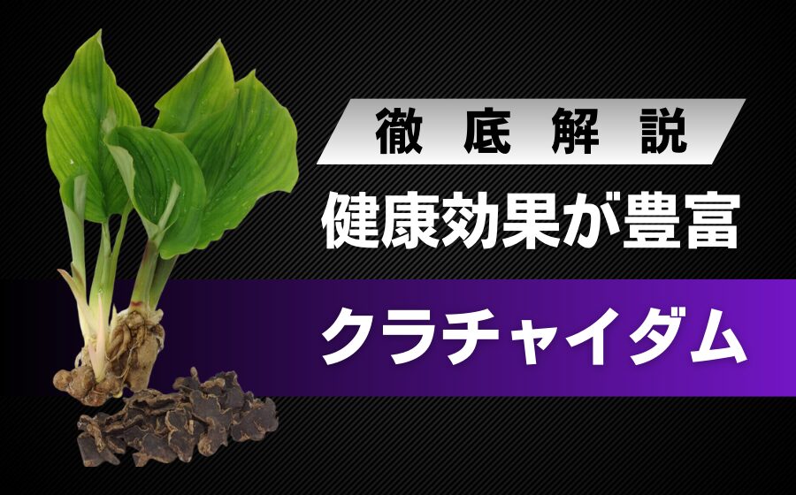 ブラックジンジャーとは？豊富な健康効果や精力効果に期待できる万能植物のコピー