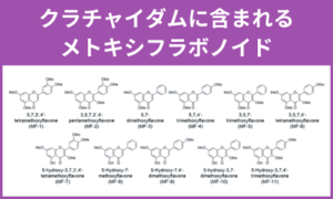 クラチャイダムに含まれるメトキシフラボノイド